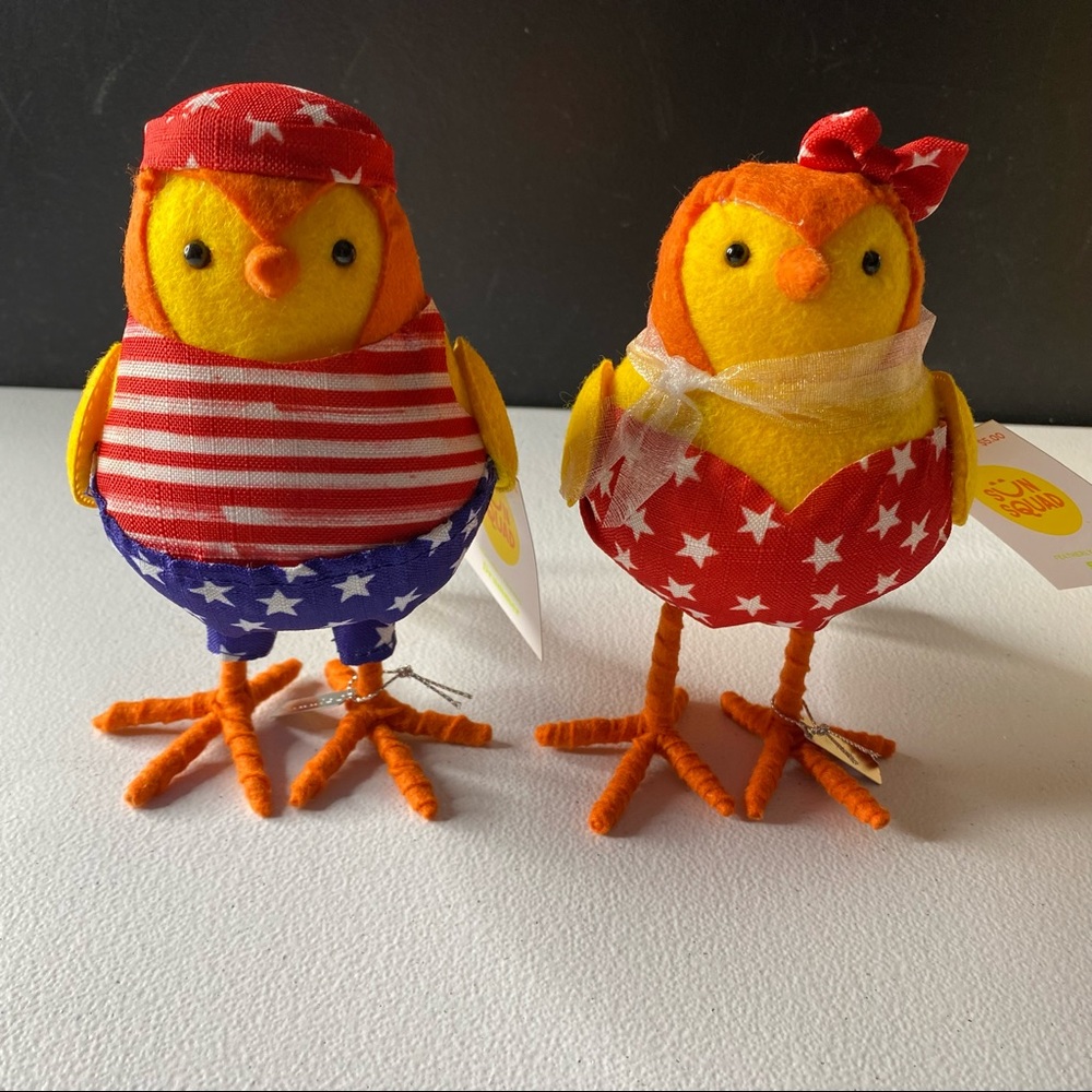 Target Sunsquad Patriotic Beach Birds